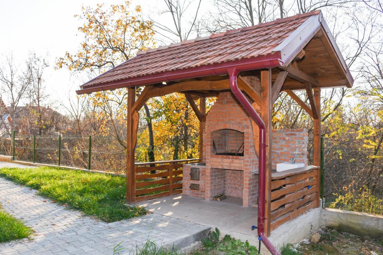 Готель Tomis House Куртя-де-Арджеш Екстер'єр фото